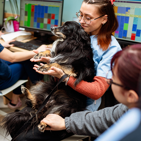 Pauline - Prof d'aide à la rédaction de cv - lettre de motivation - Reims