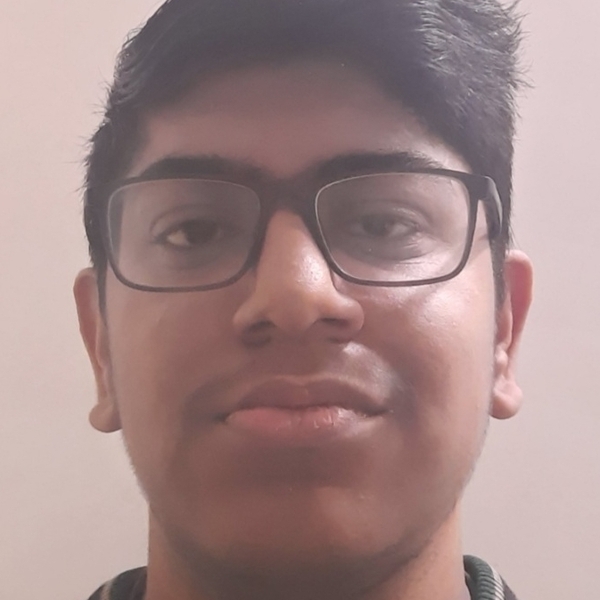 Krishna - Accounting teacher - New Delhi