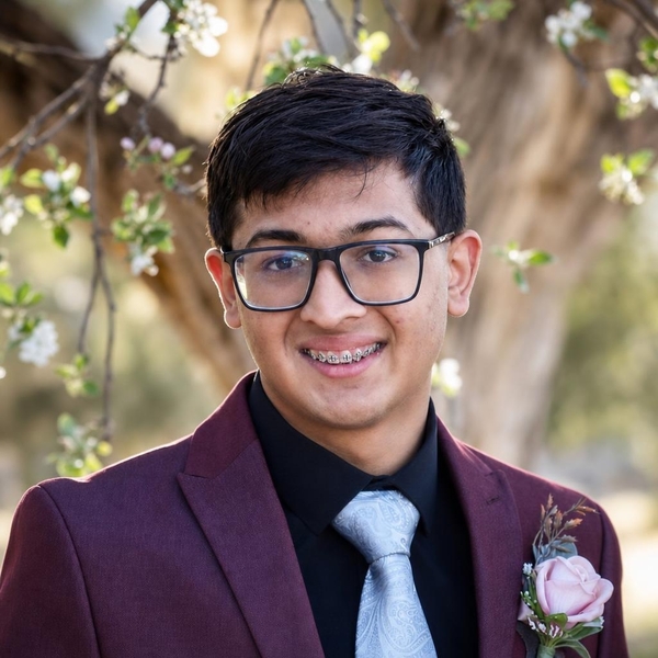 Vedant - Mathematics tutor - Heber-Overgaard