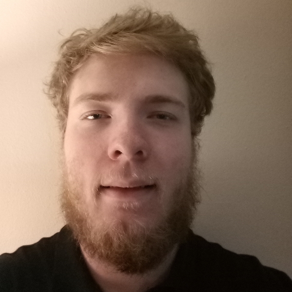 James - Algebra tutor - Theodore