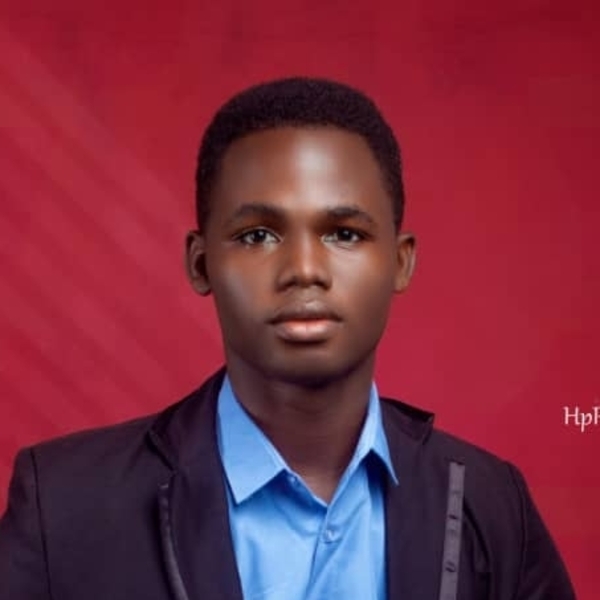 Ogunleye - Maths tutor - Lake Arbor