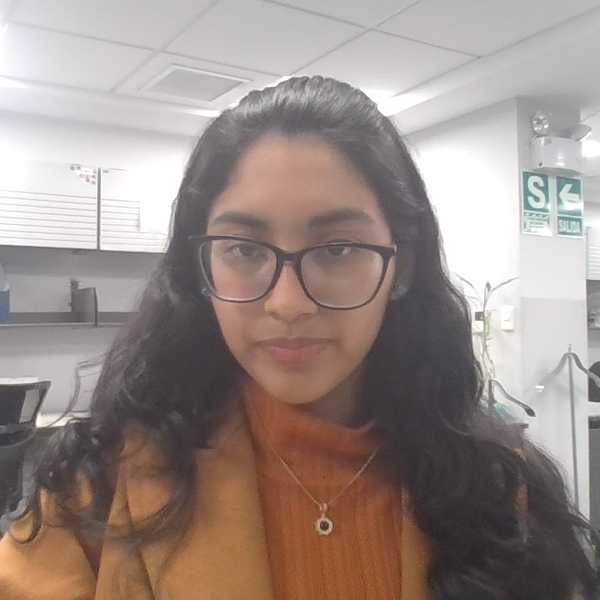 Mishell - profesor de inglés - US$10/h