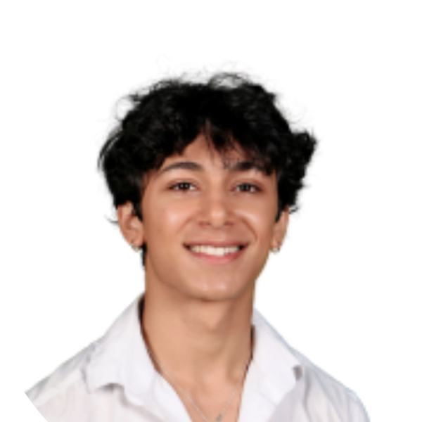 Aristoteles - Maths tutor - New York