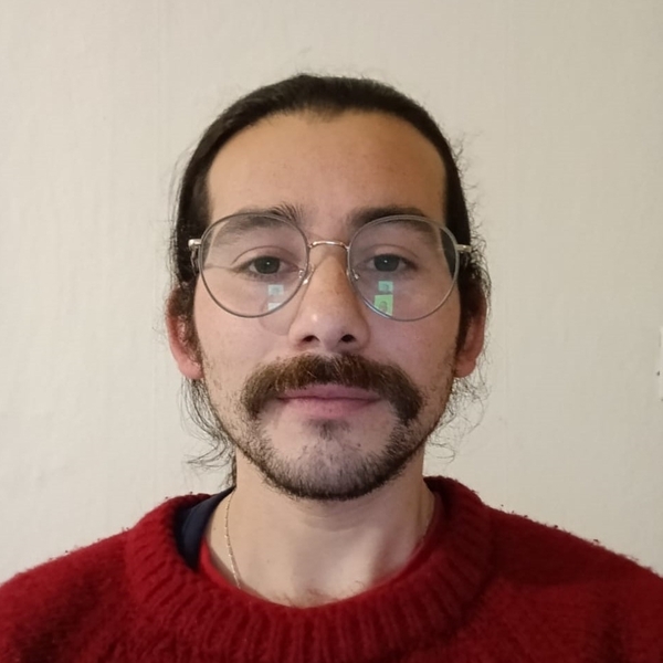 Tomás - Profesor de filosofía - Los Lagos