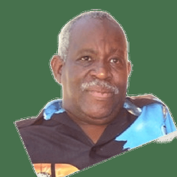 Alvin - Information technology tutor - Washington