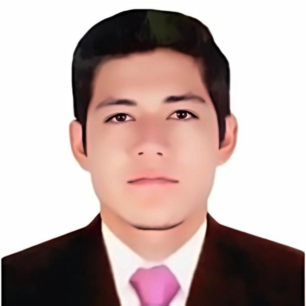 Renzo - Profe de seguridad y salud laboral - Lima