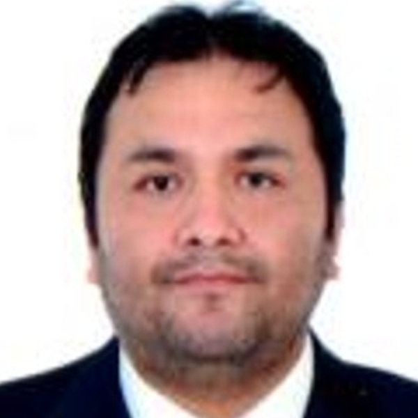 LUIS - Profesor de ingeniería - Chorrillos