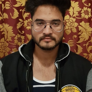 Charan - Accounting tutor - Mill Park