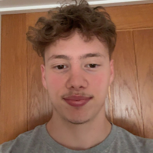Alex - English tutor - Gravesend
