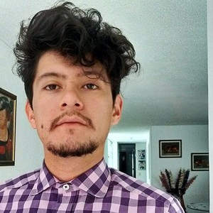 Andrés - Profesor de inglés - Bogotá