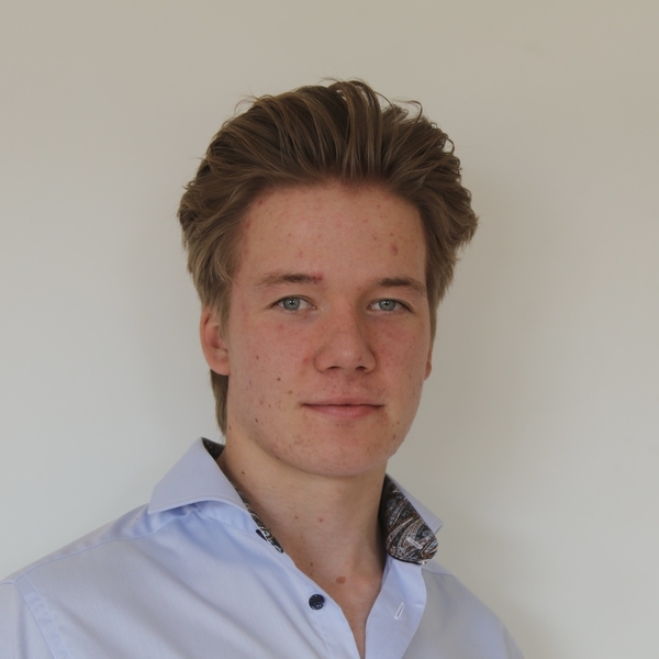 Theo - Lehrkraft für Mathematik - Muri bei Bern