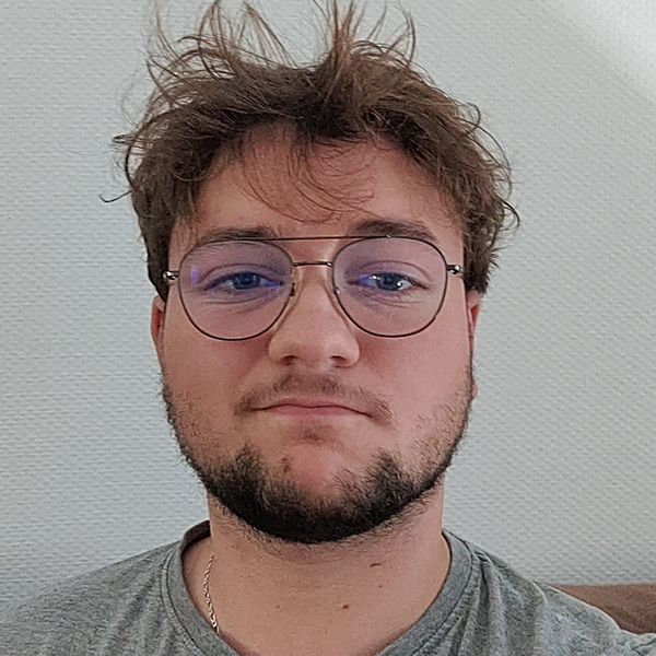 Antonin - Prof de français - Ringendorf