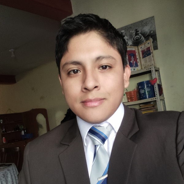 BRIAN - Profe de matemáticas - Lambayeque