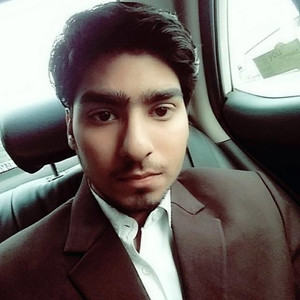 Vishal - Academic tutoring tutor - Ghaziabad