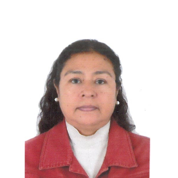 Srivas - profesor de español para extranjeros - Arequipa