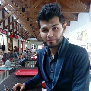 Andres - Profesor de inglés - Bogotá