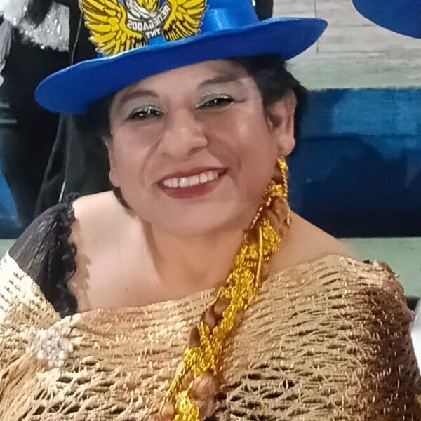 Araceli - tutor académico - San Juan de Lurigancho