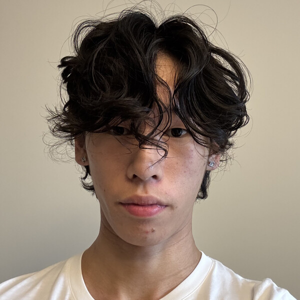 LeSean - Math tutor - London