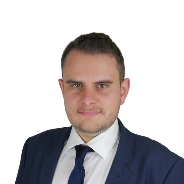 Straven - Prof de finance - Toulouse