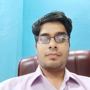Vibhore - Computer networks teacher - Durg