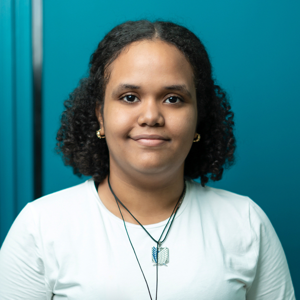 Elisanna - profesor de informática básica - La Romana