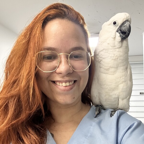 Nathaly - Professor de português (brasil) - Rio de Janeiro