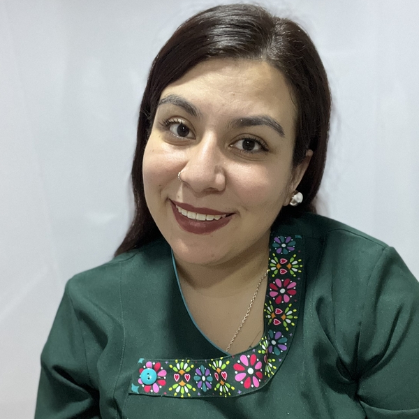 Crisna - Profesor de lenguaje y comunicación - San José de Mariquina