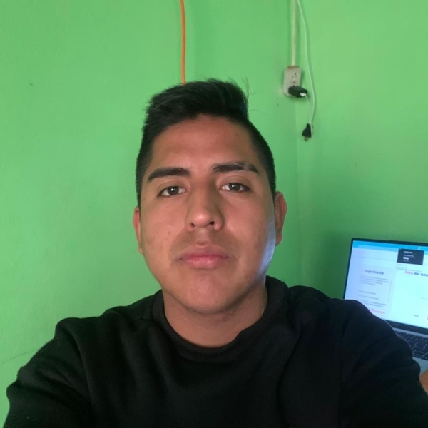 Alex - tutor académico - Teziutlán