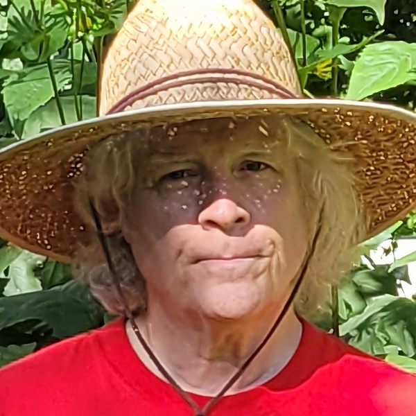 Kevin - Accounting tutor - Guelph