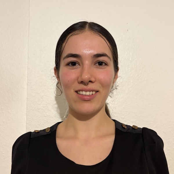  - Prof d'anglais - Metz