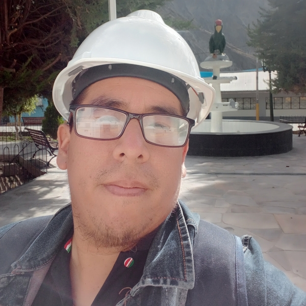 Jesus - Profe de seguridad y salud laboral - Arequipa