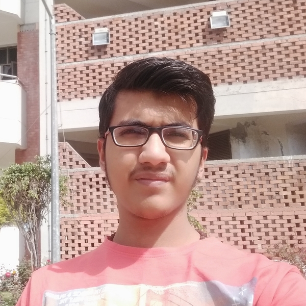 Ankit - Physics tutor - Auckland