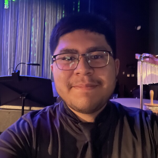 Luis - Violin tutor - Streamwood