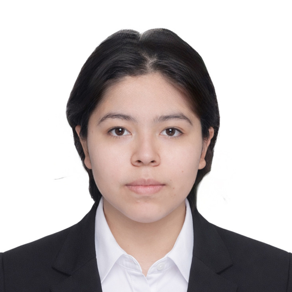  - profesor de reforzamiento académico - Hermosillo