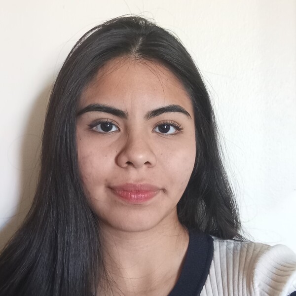 Elisa - Profesor de matemática - Talca