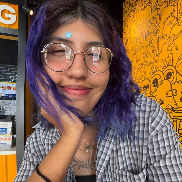 Alejandra - profesor de reforzamiento académico - Puerto Vallarta