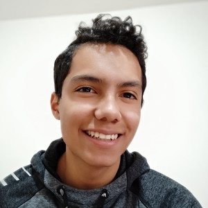 Camilo - Profesor de física - Ciudad de México