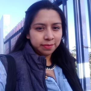 Karen Fernanda - Profesor de derecho civil - San Juan del Río
