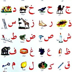 SAMIR - Prof de soutien scolaire - Cugnaux