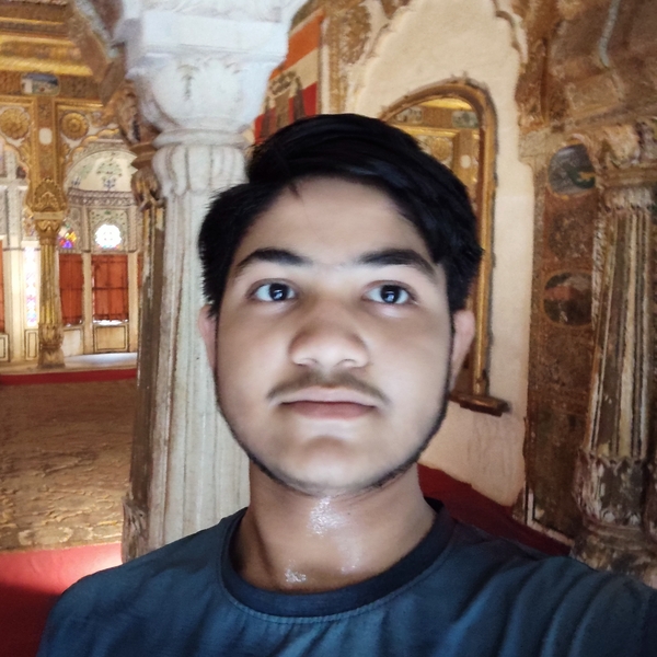 Inderjeet - History tutor - New Delhi