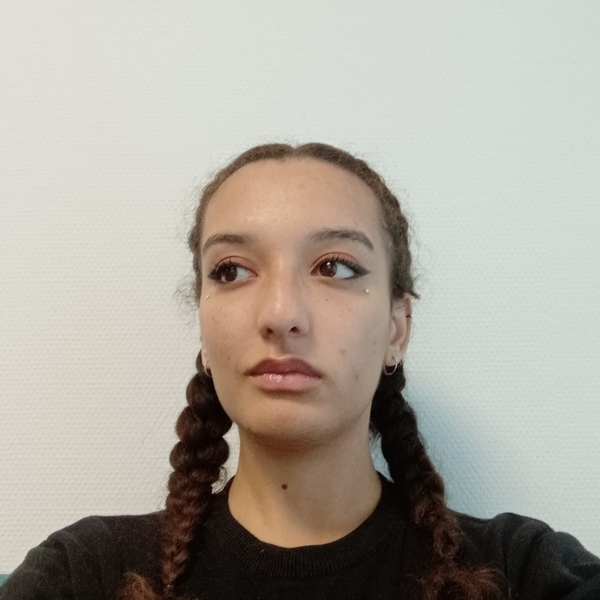 Alyssa - Prof de programmation - Moncé-en-Belin