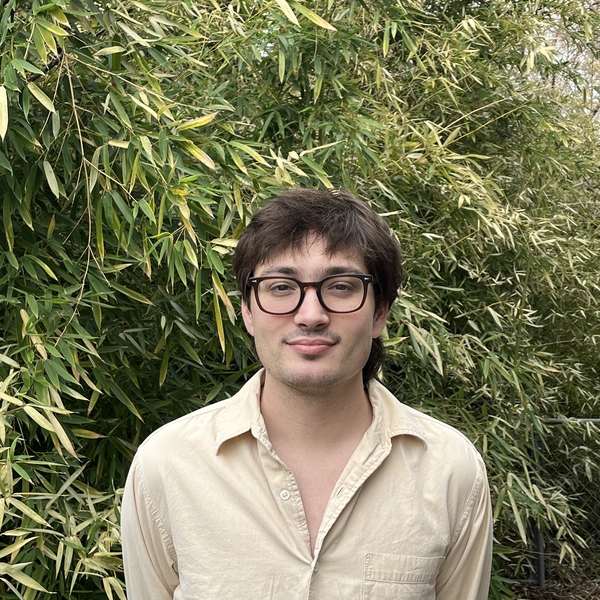 Henry - Drawing tutor - New York