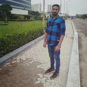 Himanshu - Accounting tutor - Sonipat