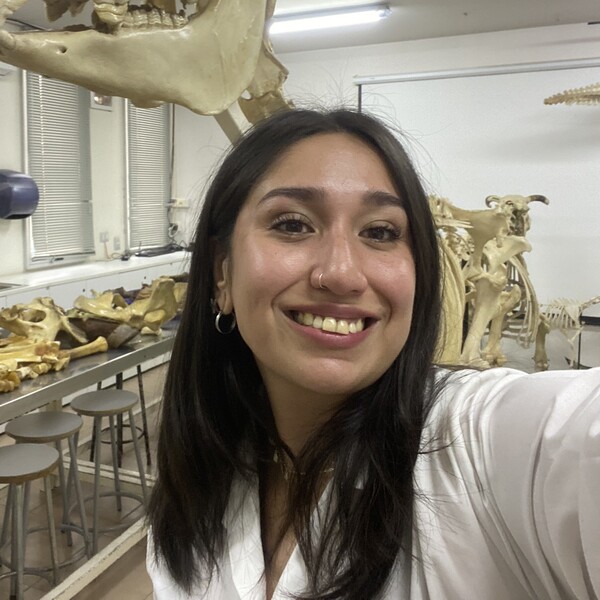 María Ignacia - Profesor de anatomía - Santiago