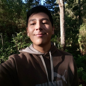 Jose - Profesor de ingeniería civil - Chilpancingo de los Bravo