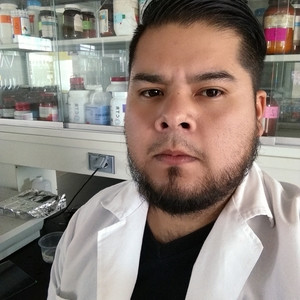 Ignacio - Profe de química - Durango