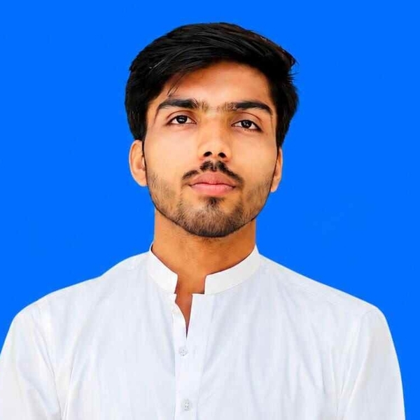 Ali - Maths tutor - Chichawatni