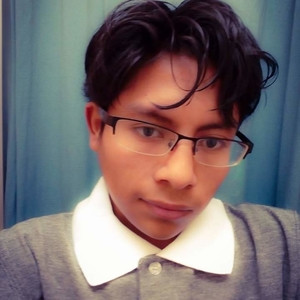 Root-Git - profesor de informática básica - Heroica Puebla de Zaragoza