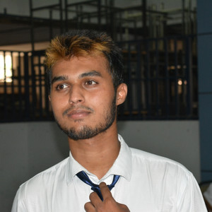 Rahul - Accounting tutor - Bengaluru
