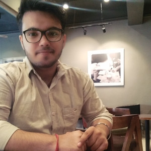 Rohit - Web Development Tutor - 